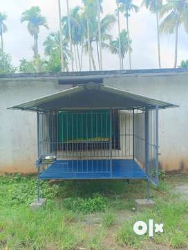 Olx dog 2025 cage for sale