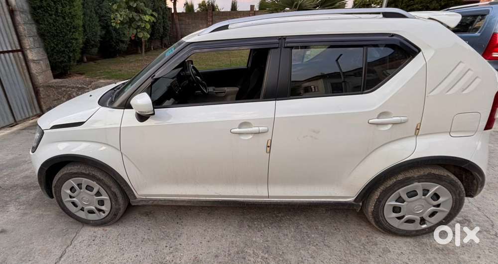 Maruti Suzuki Ignis 2024 Model
