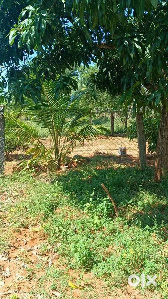 4 Cents Land for Sale Near Thengamputhoor Lands & Plots 1754630123