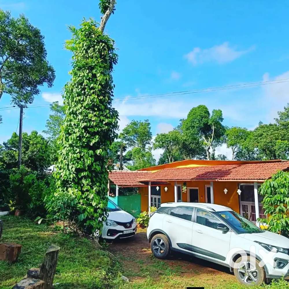 Tata Nexon 2021 Petrol Well Maintained