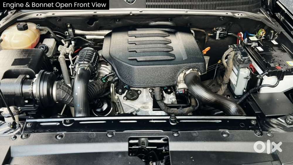 Mahindra Scorpio N Z4 Petrol Mt 7 Str, 2024, Petrol