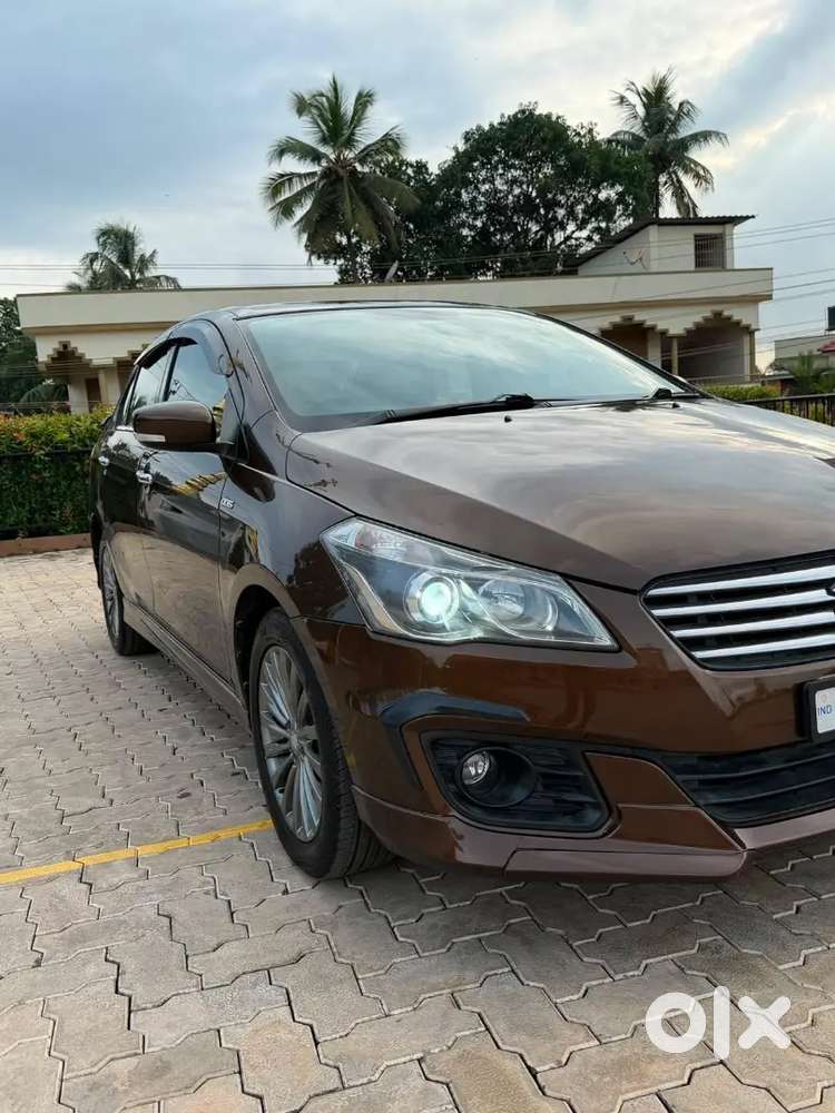 Maruti Suzuki Ciaz Zdi Plus Hybrid 2016 Model 1st. Owner