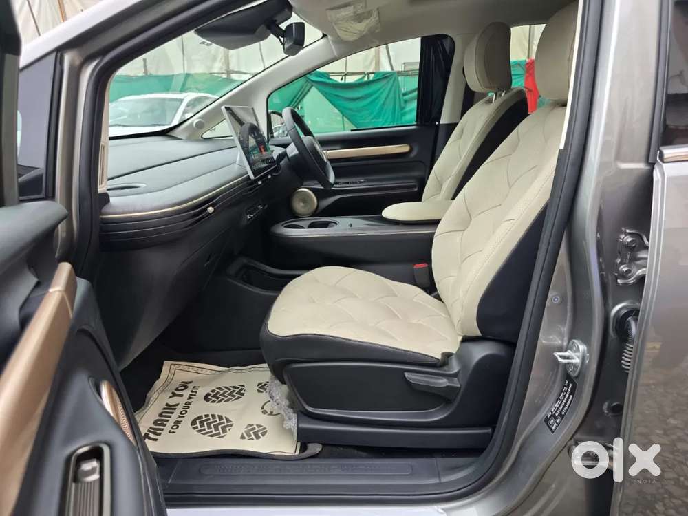 Mg Windsor Ev, 2026, Electric