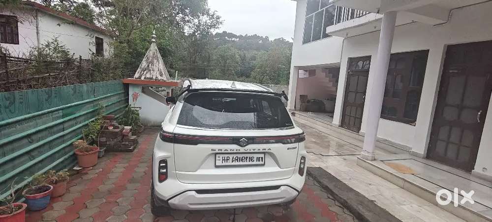 Maruti Suzuki Grand Vitara 2024 Petrol 25000 Km Driven