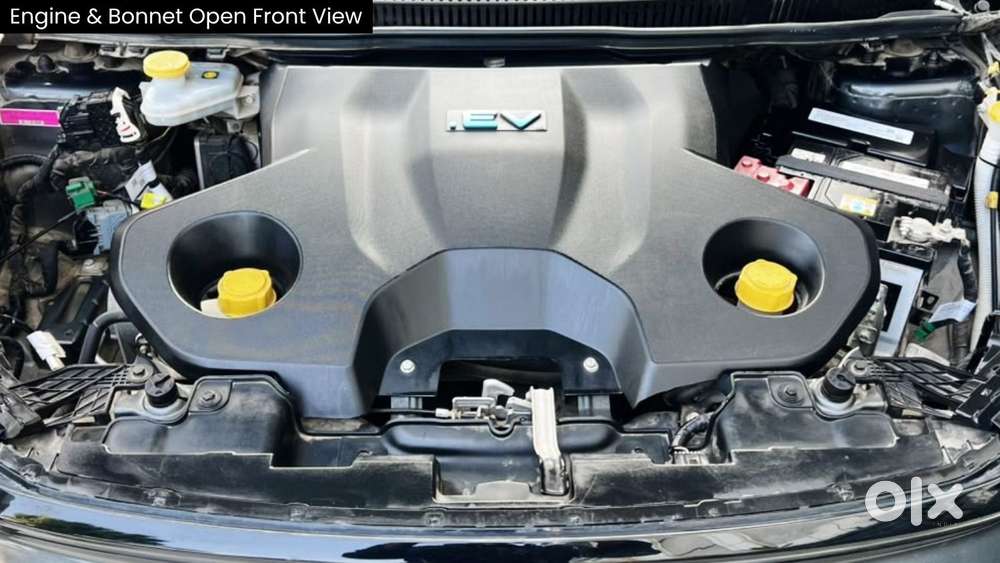Tata Nexon Ev Fearless Lr, 2024, Electric