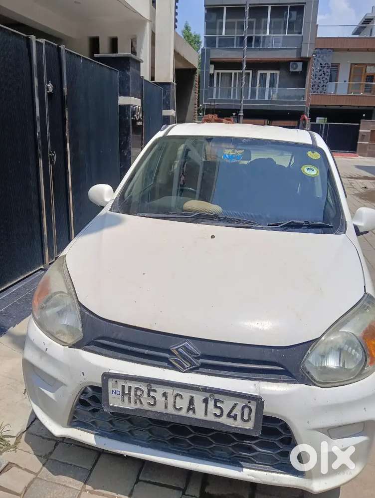 Alto 800 (2020 Model)