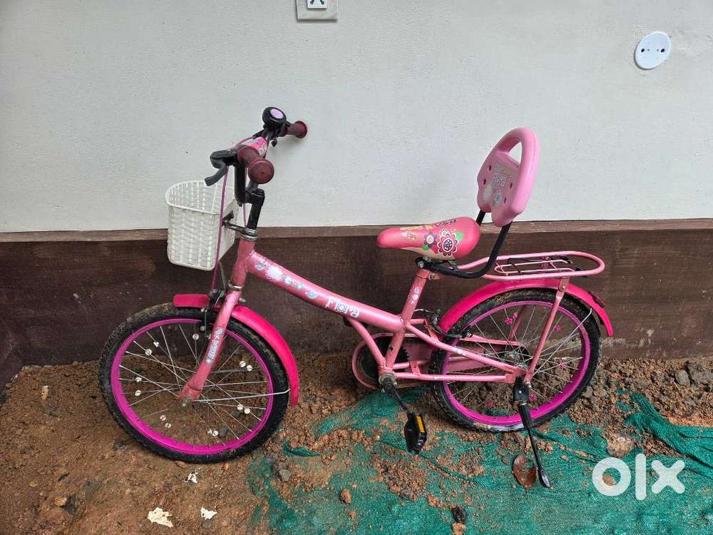 Bsa Cycles Bsa Flora Price Bsa Champ Flora 16 Price Shop