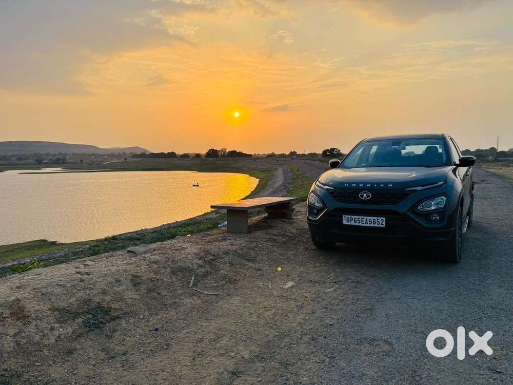 Less Driven Top Model Harrier Camouflage Edition