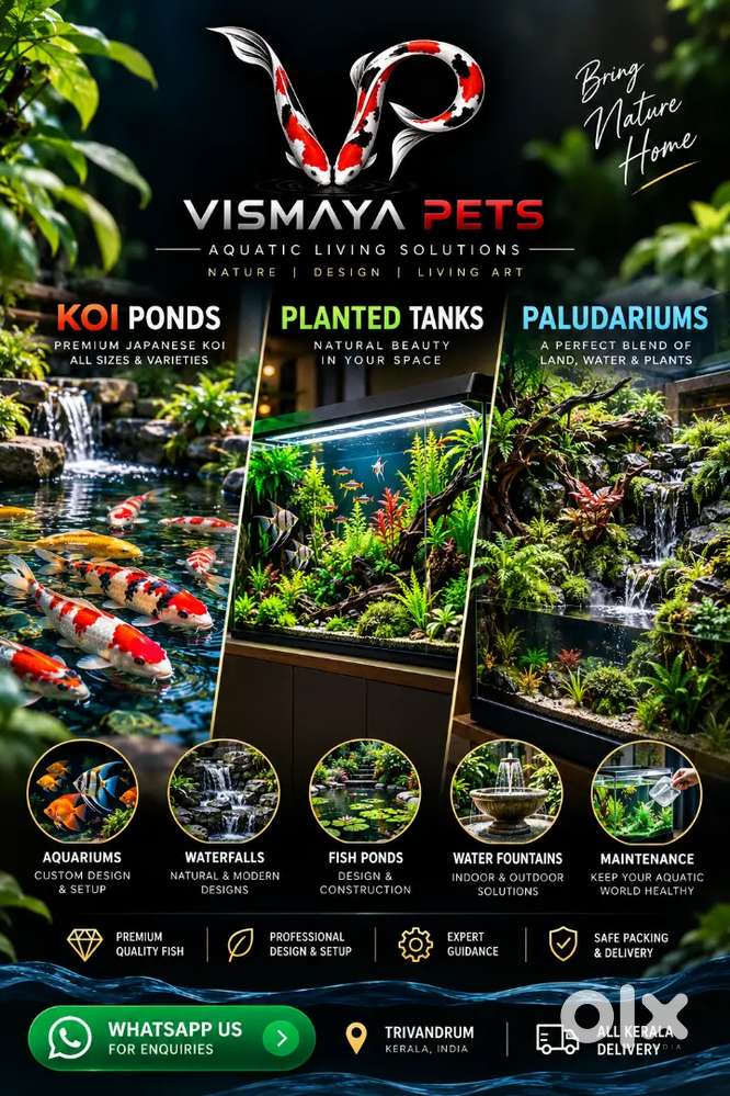Koi pond and aquarium works