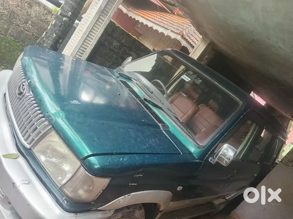 Full Opution