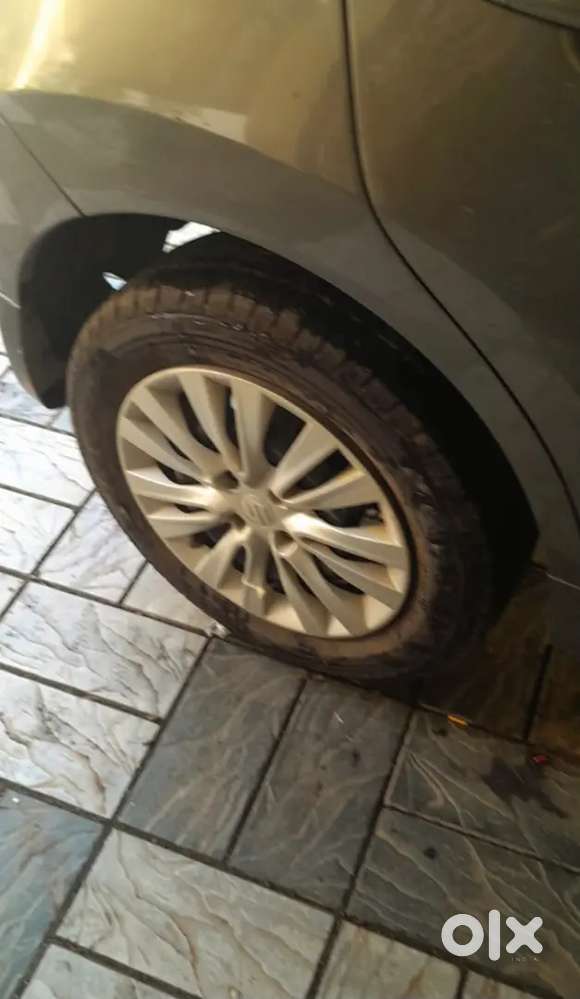 2019 Baleno Delta Variant