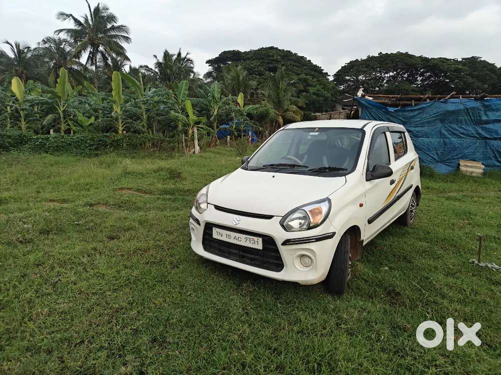 Maruti Suzuki Alto 800 2017