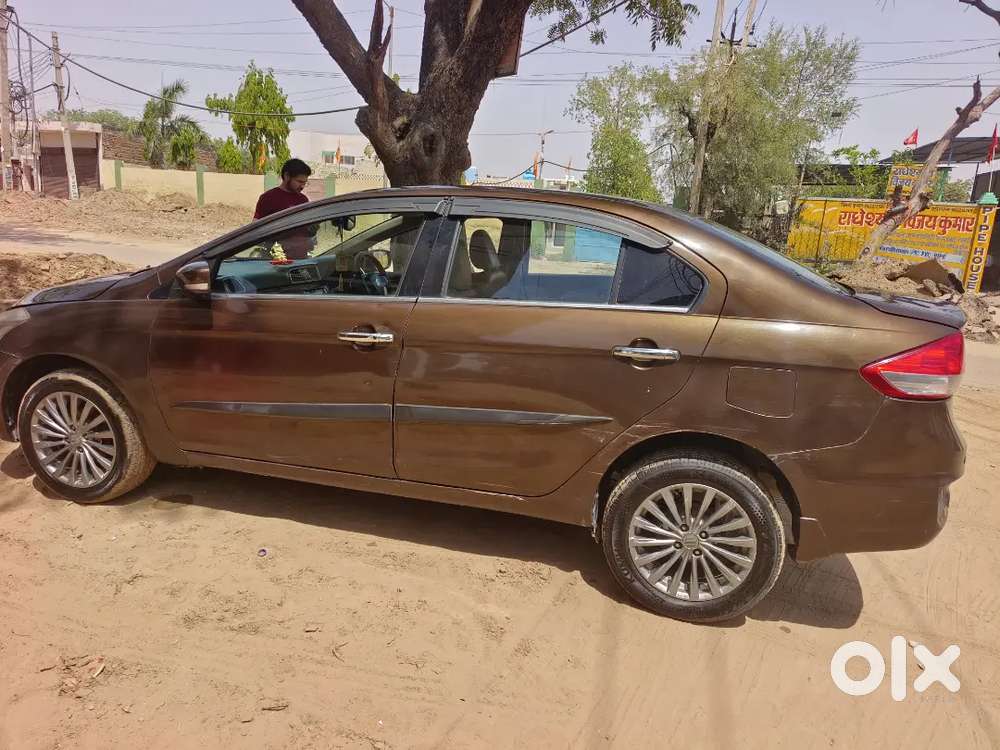 Top Model Ciaz Diesel Rocket