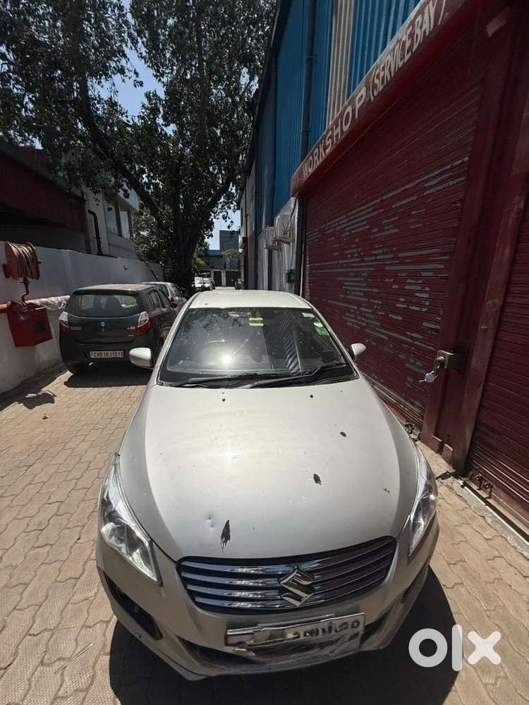 Maruti Suzuki Ciaz
