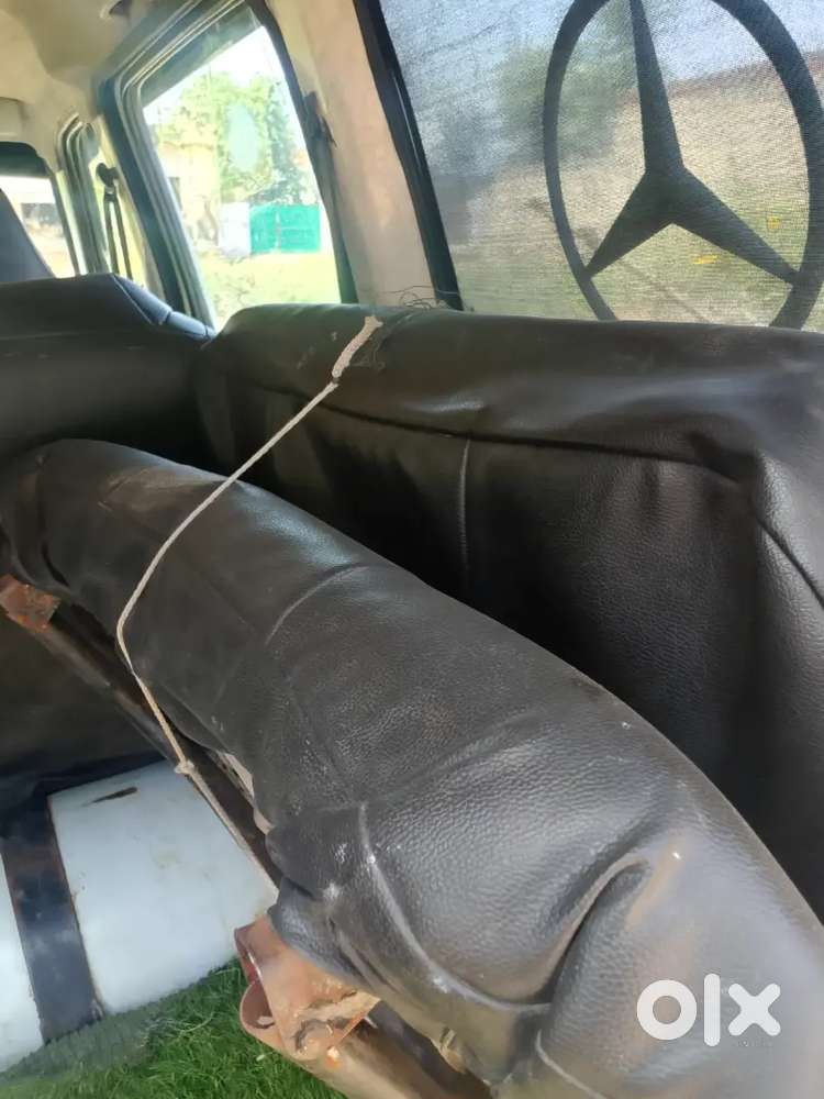 Echo White With Steekar