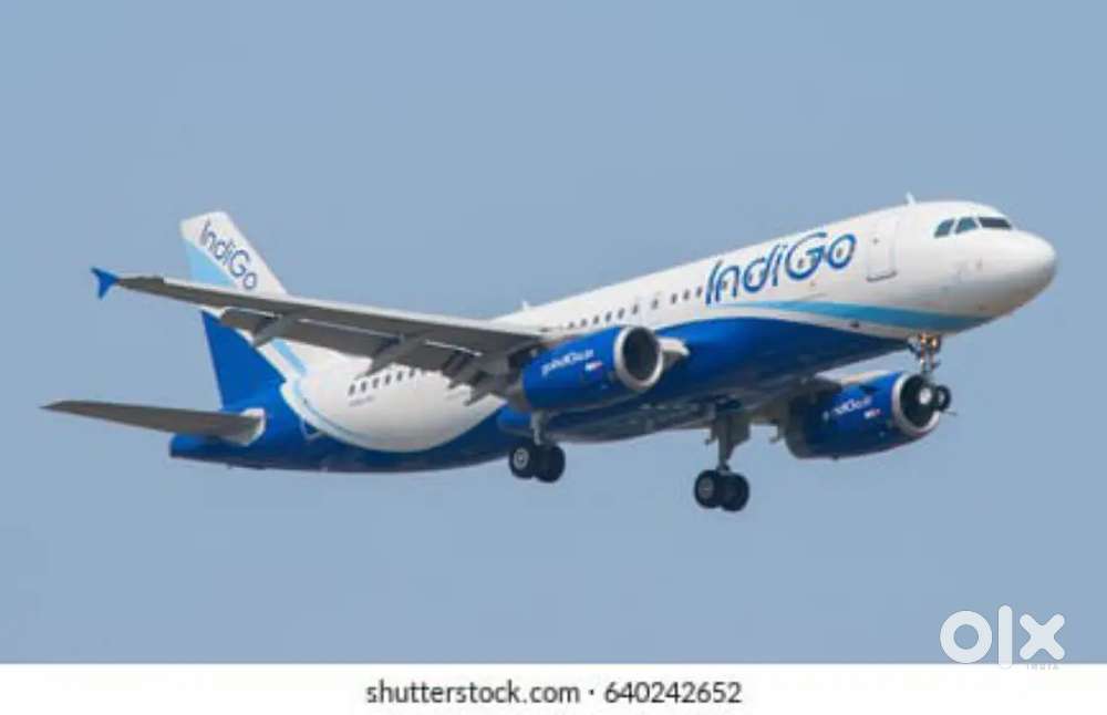 Great opportunity for Airport jobs ground staff /ticketing /cabin crew