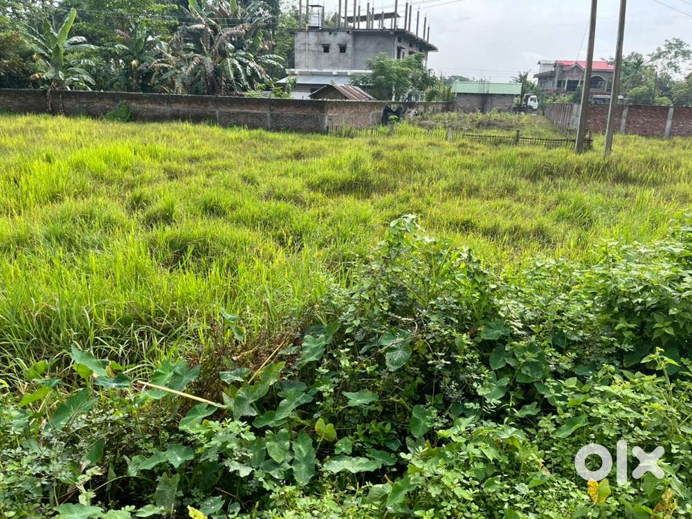 1.5 kotha miyadi land