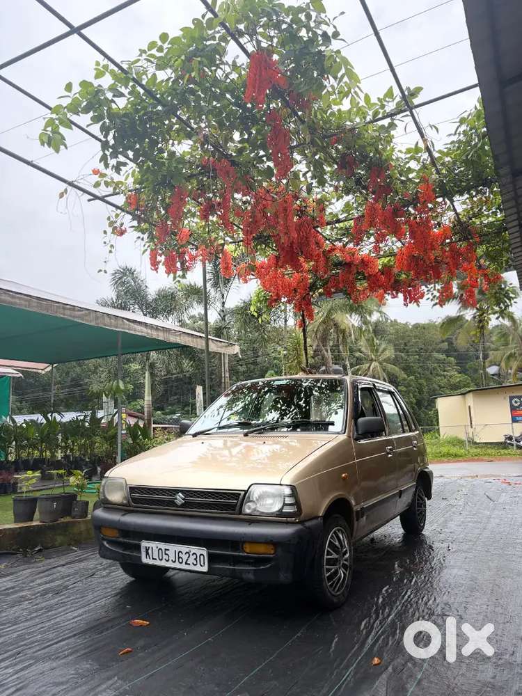 Maruti Suzuki 800 2000
