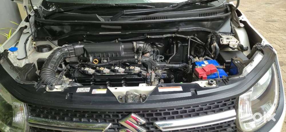 Maruti Suzuki Ignis Delta 1.2 Mt Dual Tone, 2019, Petrol