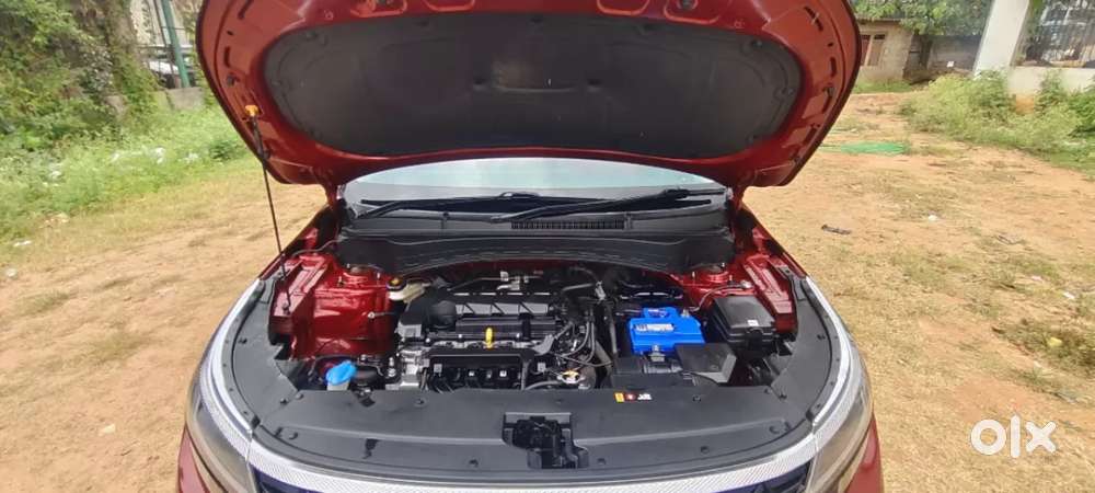 Kia Seltos Htx 1.5 Petrol Mt, 2024, Petrol
