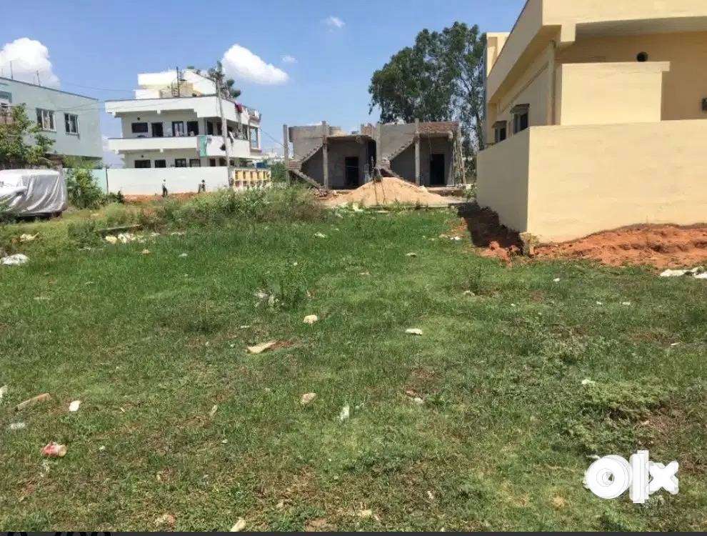 Opposite of vangayagudem cancer hospital road Lands & Plots 1748634298