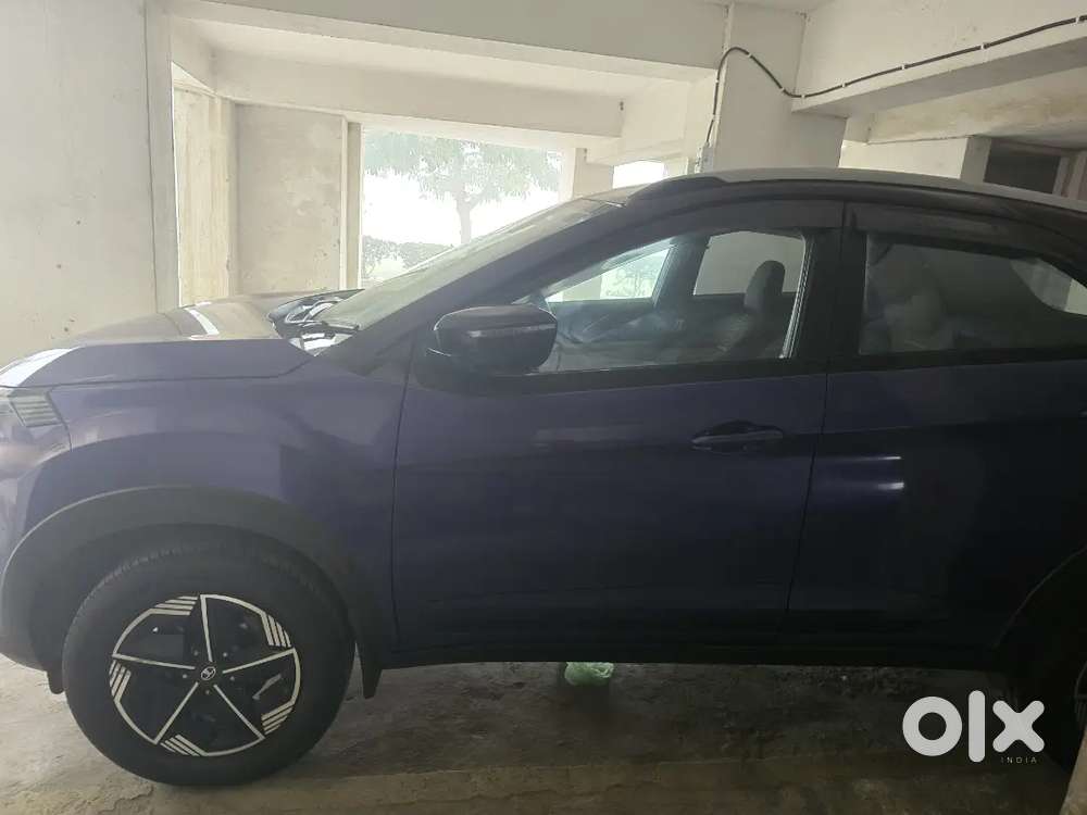 Tata Nexon 2024 Petrol Well Maintained