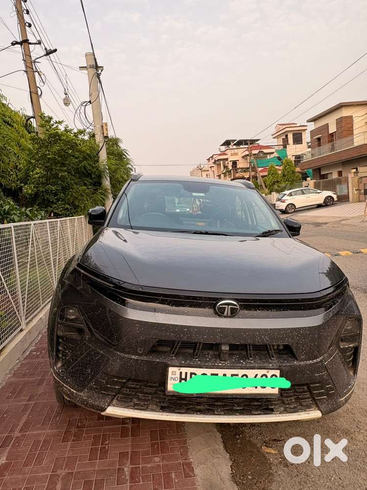 Tata Nexon Creative Petrol 2024 Teacher Car