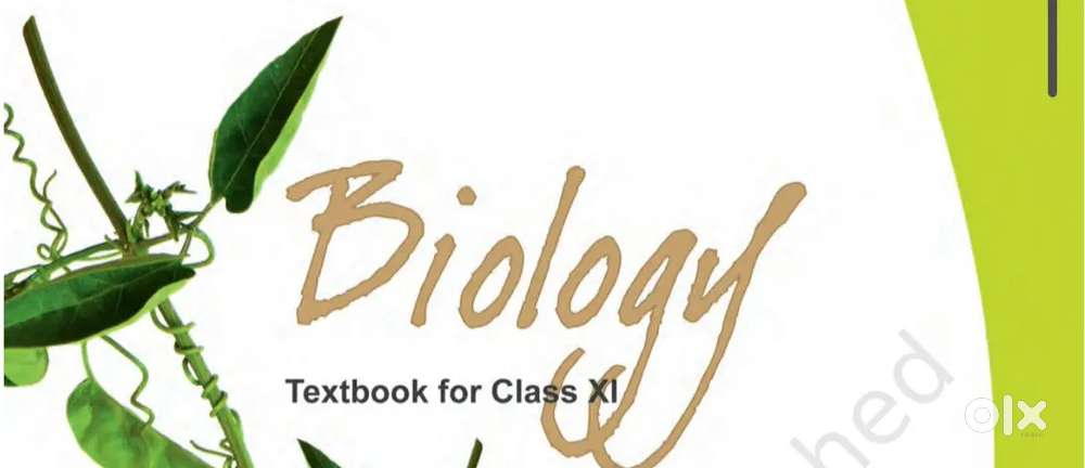 Science and maths class 6 to 10 (cbse/icse) ,11th &12th Biology