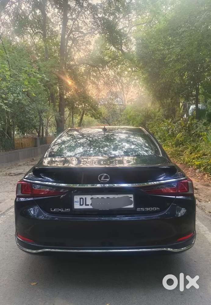 Lexus Es, 2022, Petrol