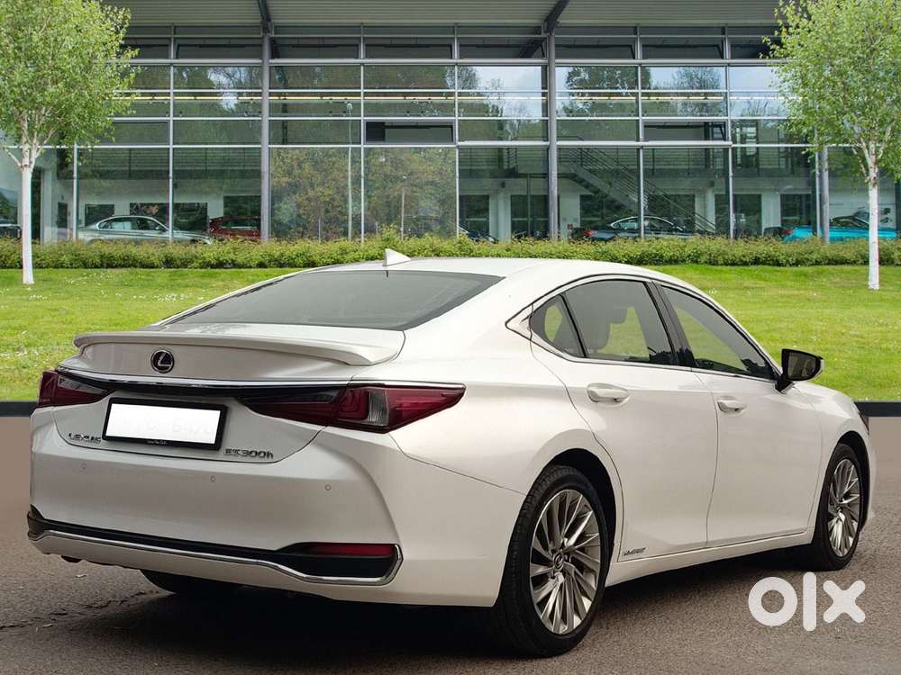 Lexus Es 300h Luxury, 2021, Petrol