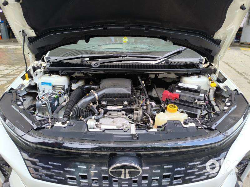 Tata Curvv Creative 1.2 Revotron Petrol 6mt, 2024, Petrol