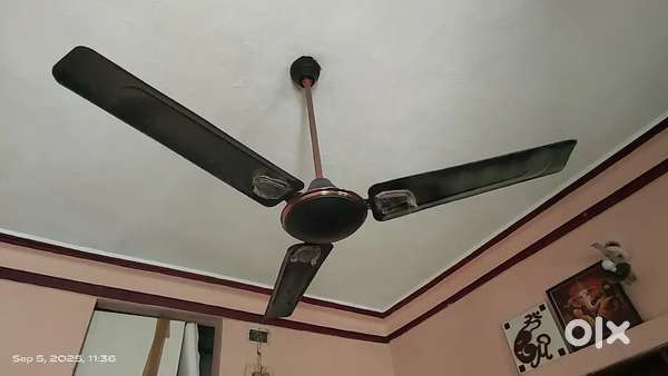 Ceiling Fan