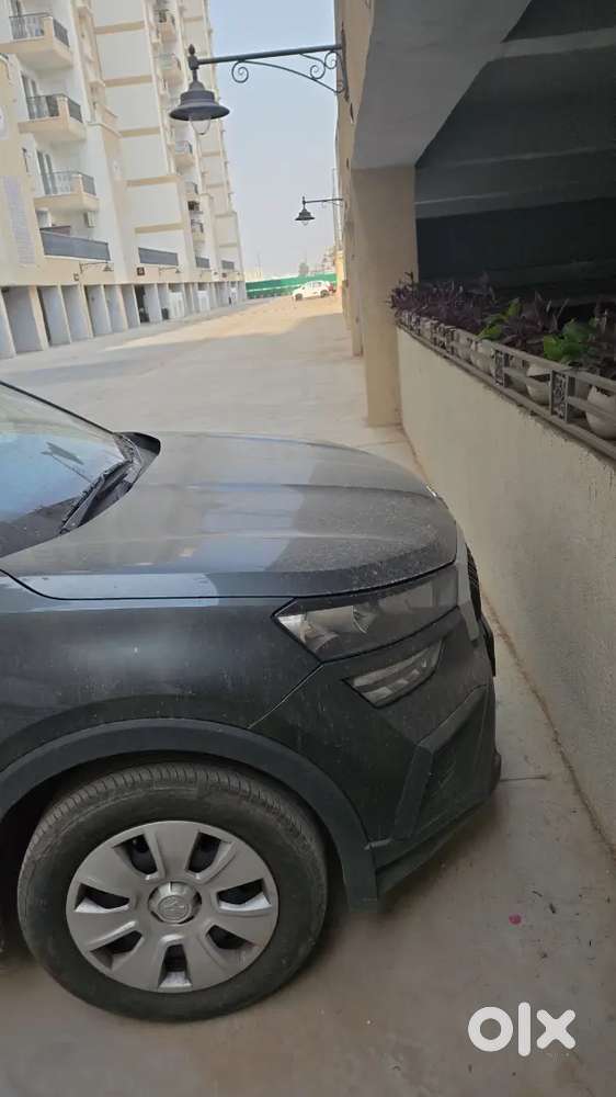 Skoda Kushaq 2025 Petrol 10000 Km Driven