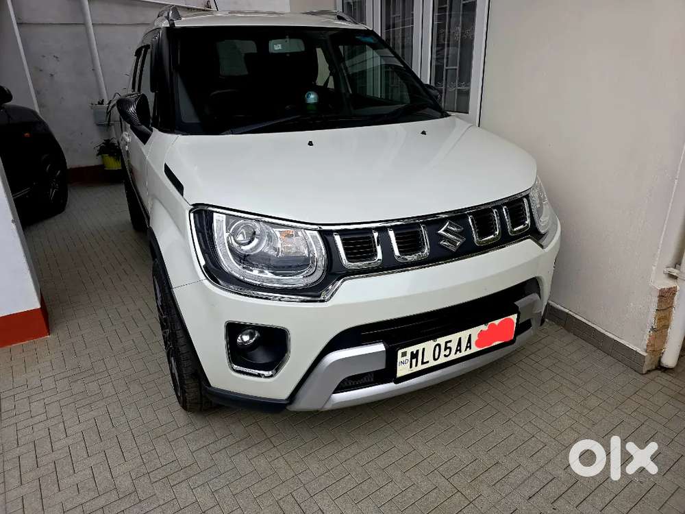 Top Model Ignis Alpha In Perfect Condition.