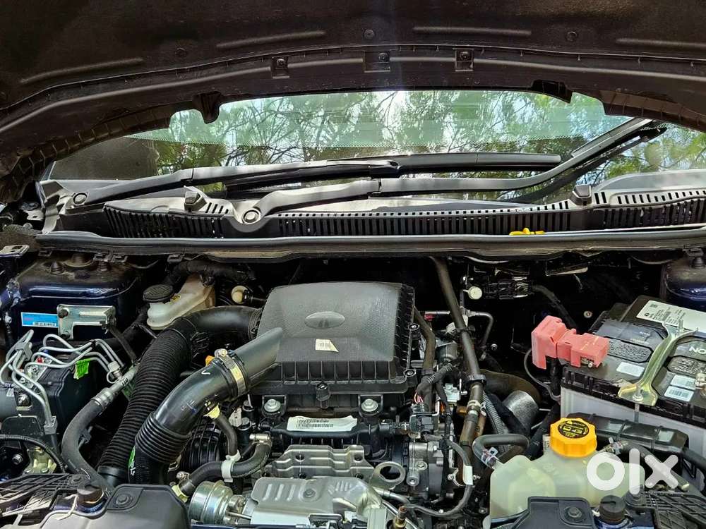 Tata Curvv 2025 Petrol 6000 Km Driven