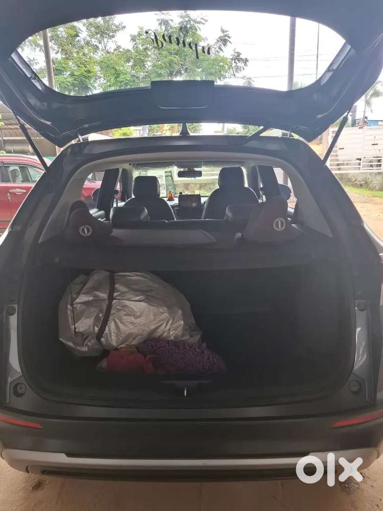 Honda Elevate Petrol V 2024