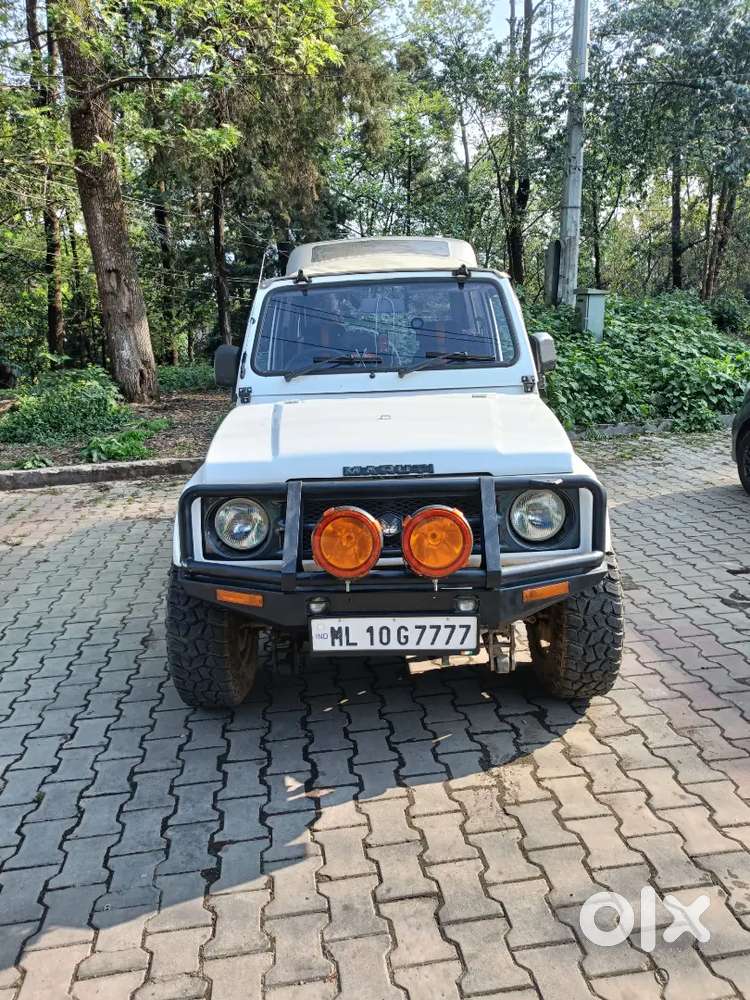 Gypsy King... All Papers  Are Up To Date