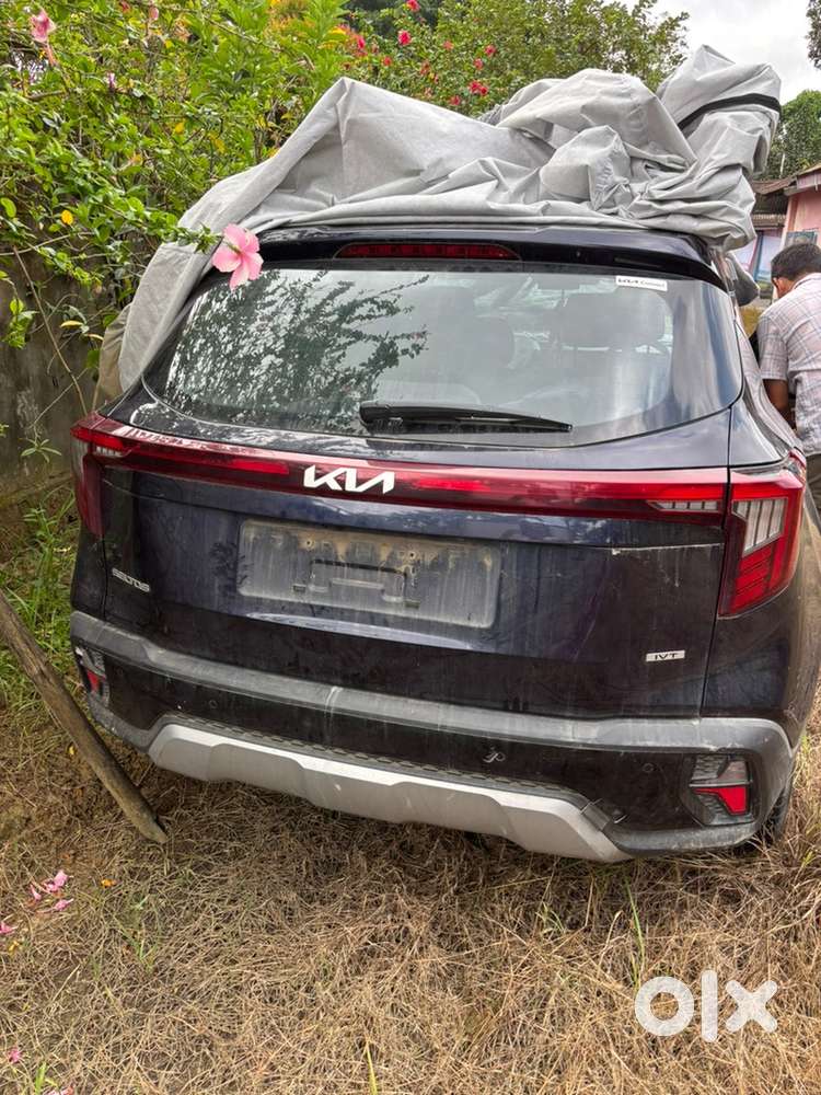 Accidental Seltos Only For Salvage Buyers