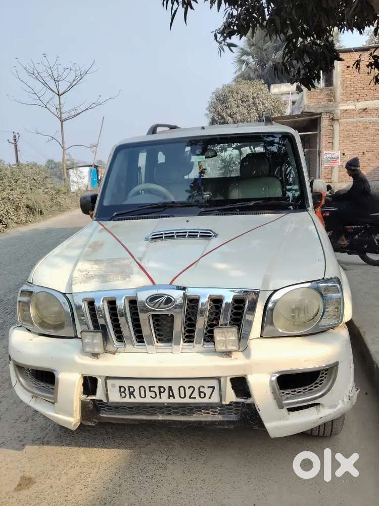 Scripo Vlx