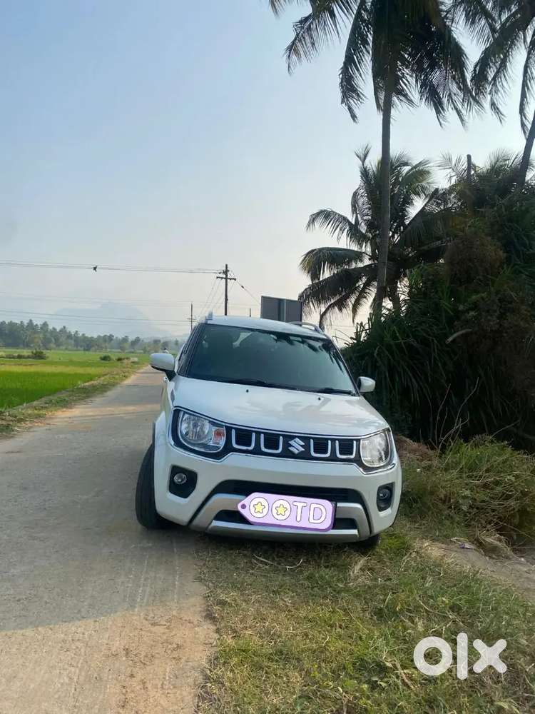 Maruti Suzuki Ignis 2022 Variant