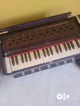 German reed harmonium olx new arrivals