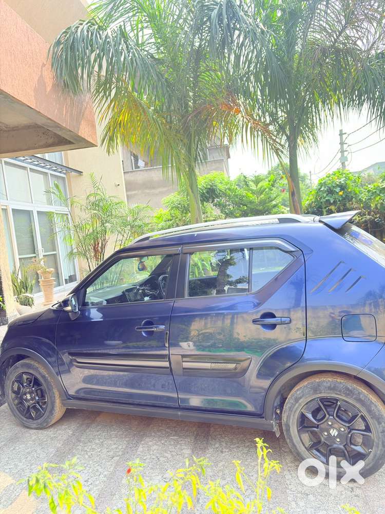 Maruti Suzuki Ignis Petrol 2023