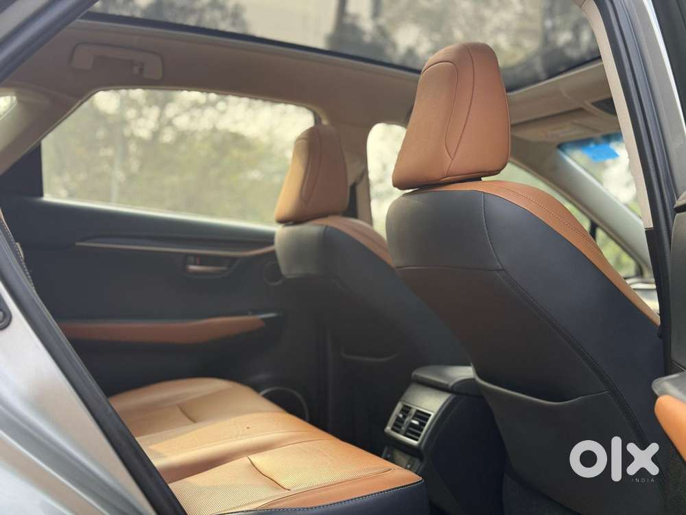 Lexus Nx Lexus-nx-300h-luxury, 2019, Petrol