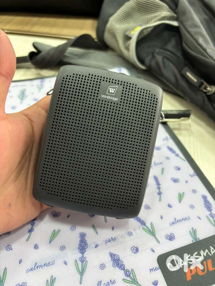 WinBridge VoiceFree Voice Amplifier
