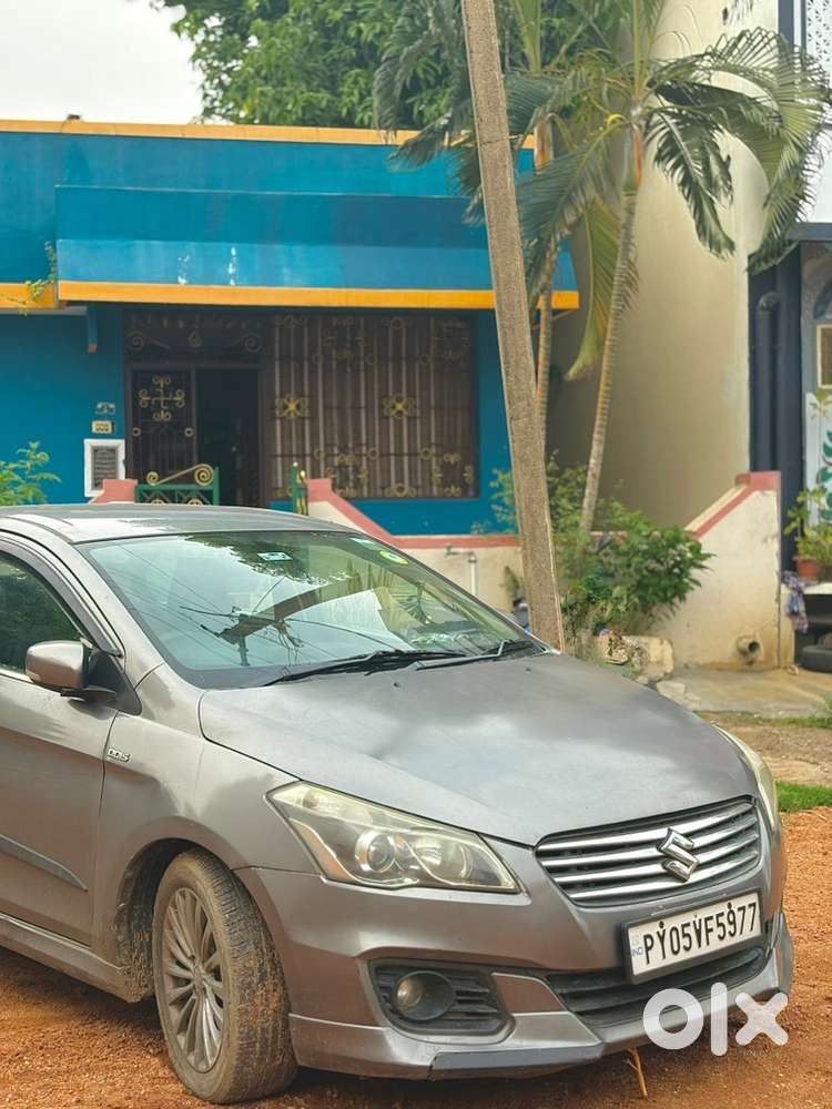 Maruti Suzuki Ciaz Diesel 2016 Year