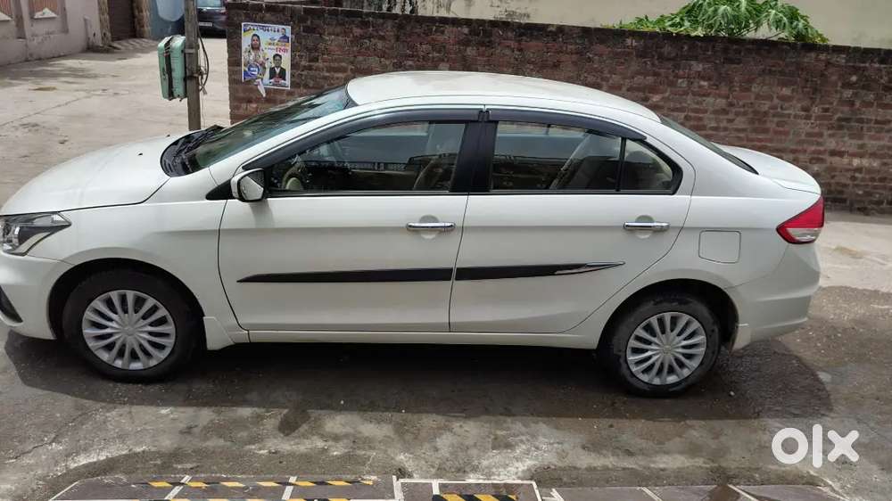 Maruti Suzuki Ciaz Sigma 2024 Manual Petrol