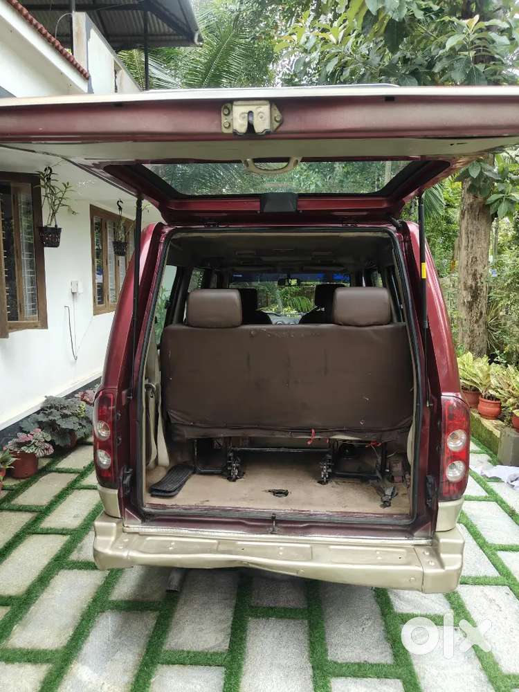Sonalika (rhino)