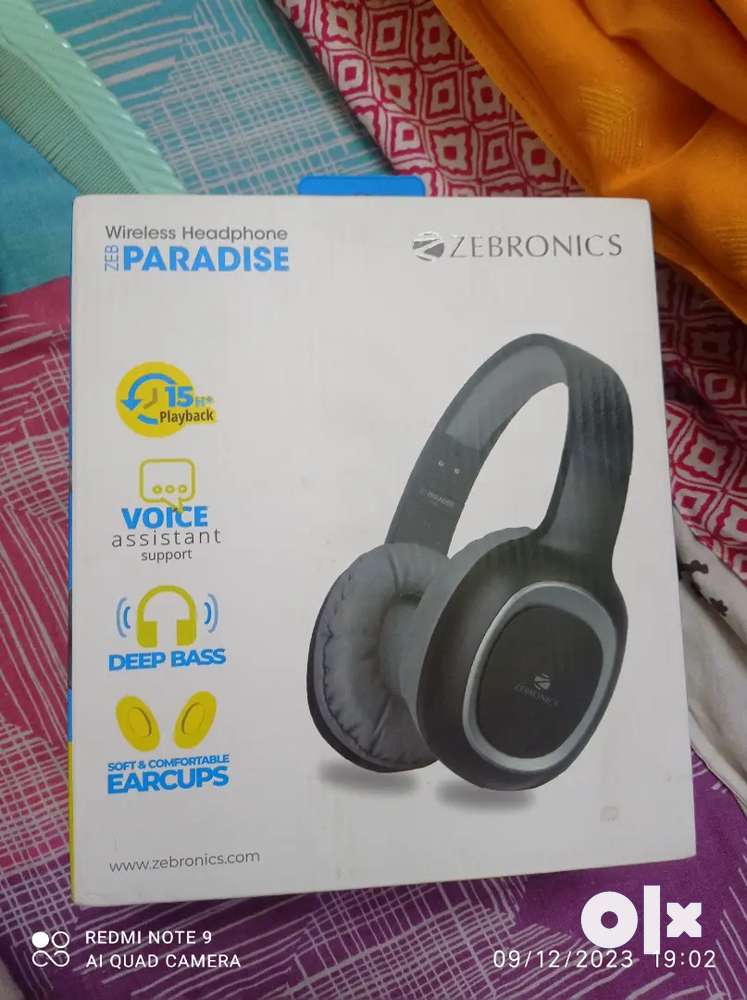 Zebronics paradise discount