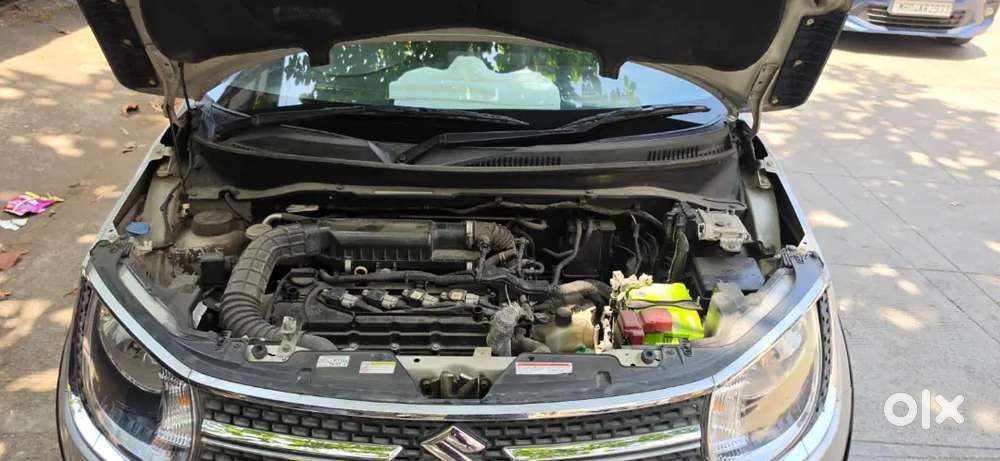Maruti Suzuki Ignis 2017 Petrol Well Maintained