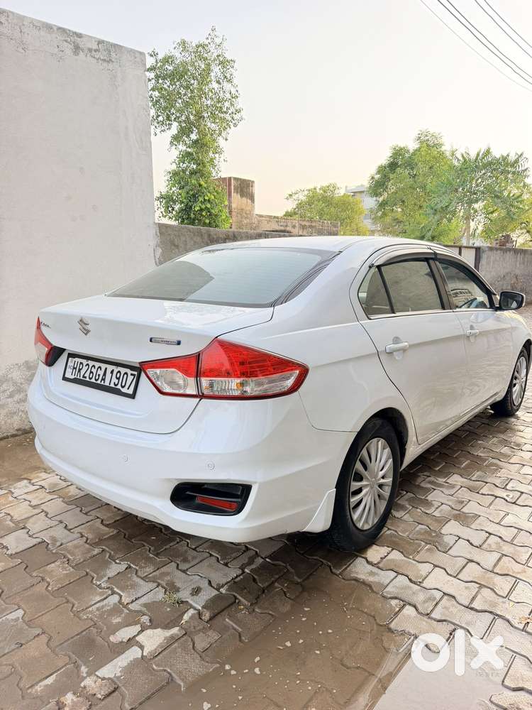 Maruti Suzuki Ciaz 1.5 Sigma Shvs Mt, 2020, Cng & Hybrids